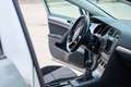 Volkswagen Golf Golf Trendline 1,2 TSI Trendline Grau - thumbnail 13