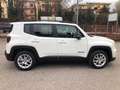 Jeep Renegade Renegade 1.0 t3 Limited 2wd my23 Weiß - thumbnail 7