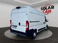 Citroen Jumper BlueHDi 103KW 140CV Furgon 35L2H2 Blanco - thumbnail 19