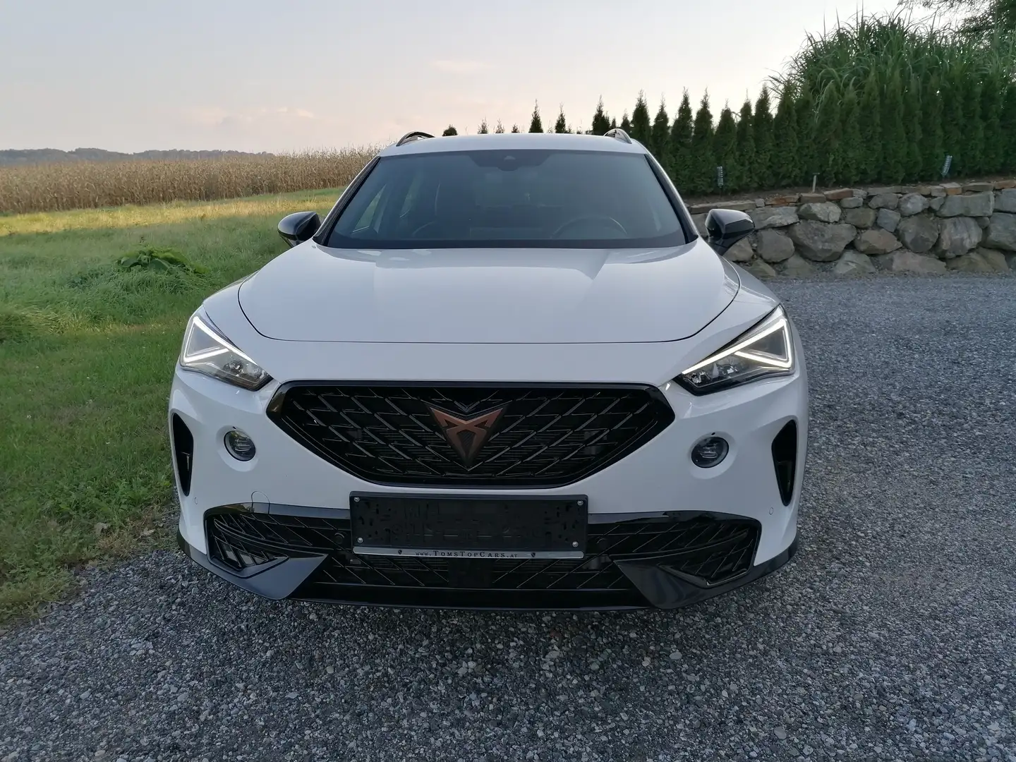 CUPRA Formentor 2,0 TDI, original Cupra Felgen, Rückfahrk. Weiß - 2