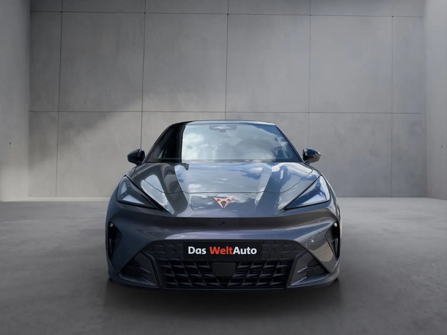 CUPRA Raval ENDURANCE 52/55 155kW/210 PS Grau - 2