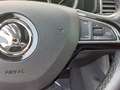 Skoda Kodiaq 1.5 4x4Sport AUTOM LEDER  PANORDAK FULL OPTIE 6DT Blauw - thumbnail 21