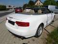 Audi A5 2.0 TFSI Cabrio Kilma Sitzh. Leder Alu.  HU AU Neu Weiß - thumbnail 19