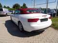 Audi A5 2.0 TFSI Cabrio Kilma Sitzh. Leder Alu.  HU AU Neu Weiß - thumbnail 5