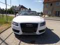 Audi A5 2.0 TFSI Cabrio Kilma Sitzh. Leder Alu.  HU AU Neu Weiß - thumbnail 14