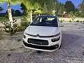 Citroen C4 SpaceTourer 1.5 bluehdi Live s&s 130cv - thumbnail 1