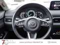 Mazda CX-5 Advantage 165 Navigation|Head-Up|360 Kamera Rot - thumbnail 8