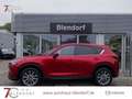 Mazda CX-5 Advantage 165 Navigation|Head-Up|360 Kamera Rot - thumbnail 3