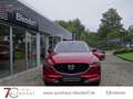 Mazda CX-5 Advantage 165 Navigation|Head-Up|360 Kamera Rot - thumbnail 4
