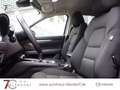 Mazda CX-5 Advantage 165 Navigation|Head-Up|360 Kamera Rot - thumbnail 15