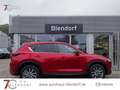 Mazda CX-5 Advantage 165 Navigation|Head-Up|360 Kamera Rot - thumbnail 6