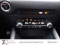 Mazda CX-5 Advantage 165 Navigation|Head-Up|360 Kamera Rot - thumbnail 13