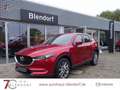 Mazda CX-5 Advantage 165 Navigation|Head-Up|360 Kamera Rot - thumbnail 1