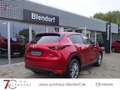 Mazda CX-5 Advantage 165 Navigation|Head-Up|360 Kamera Rot - thumbnail 5