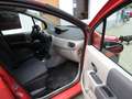 Renault Modus Dynamique  Tüv neu Panoramadach - thumbnail 12