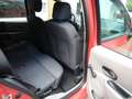 Renault Modus Dynamique  Tüv neu Panoramadach - thumbnail 14