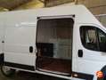 Fiat Ducato MAXI MULTIJET 130CV 2.3 Blanco - thumbnail 17
