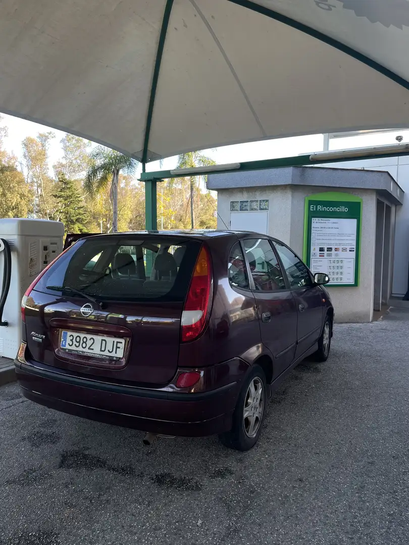 Nissan Almera Tino Aut. acenta PLUS Roşu - 2