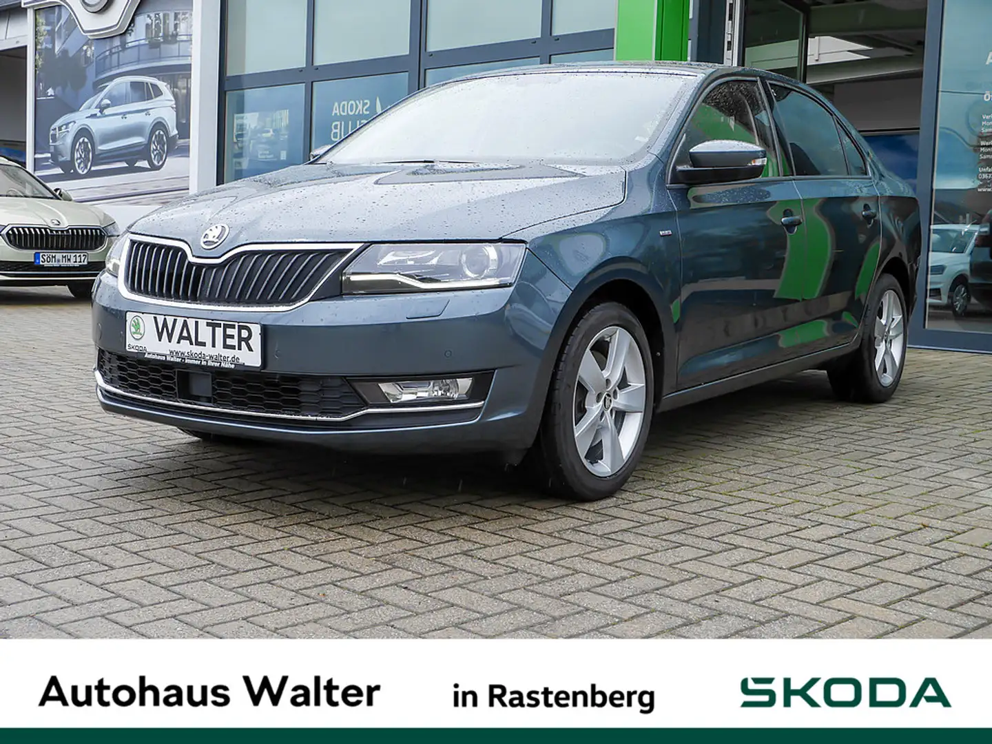Skoda Rapid/Spaceback Gris - 1