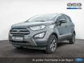 Ford EcoSport C & C 1.0L ECOBOOST KLIMA SYNC SHZ Grau - thumbnail 1