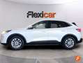Ford Kuga 1.5 EcoBlue Titanium FWD 120 Aut. Blanco - thumbnail 7