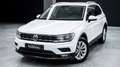 Volkswagen Tiguan 1.6 TDI 116CV BUSINESS NAVI KM CERT UNICA PROP. Bianco - thumbnail 1