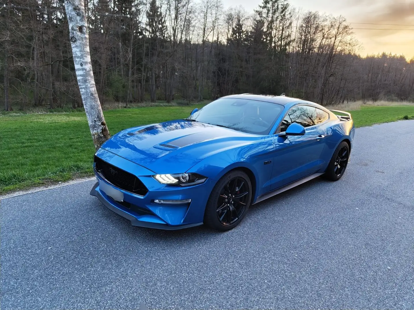 Ford Mustang Mustang 5.0 Ti-VCT V8 Aut. GT "FIFTY FIVE YEARS" Blau - 1