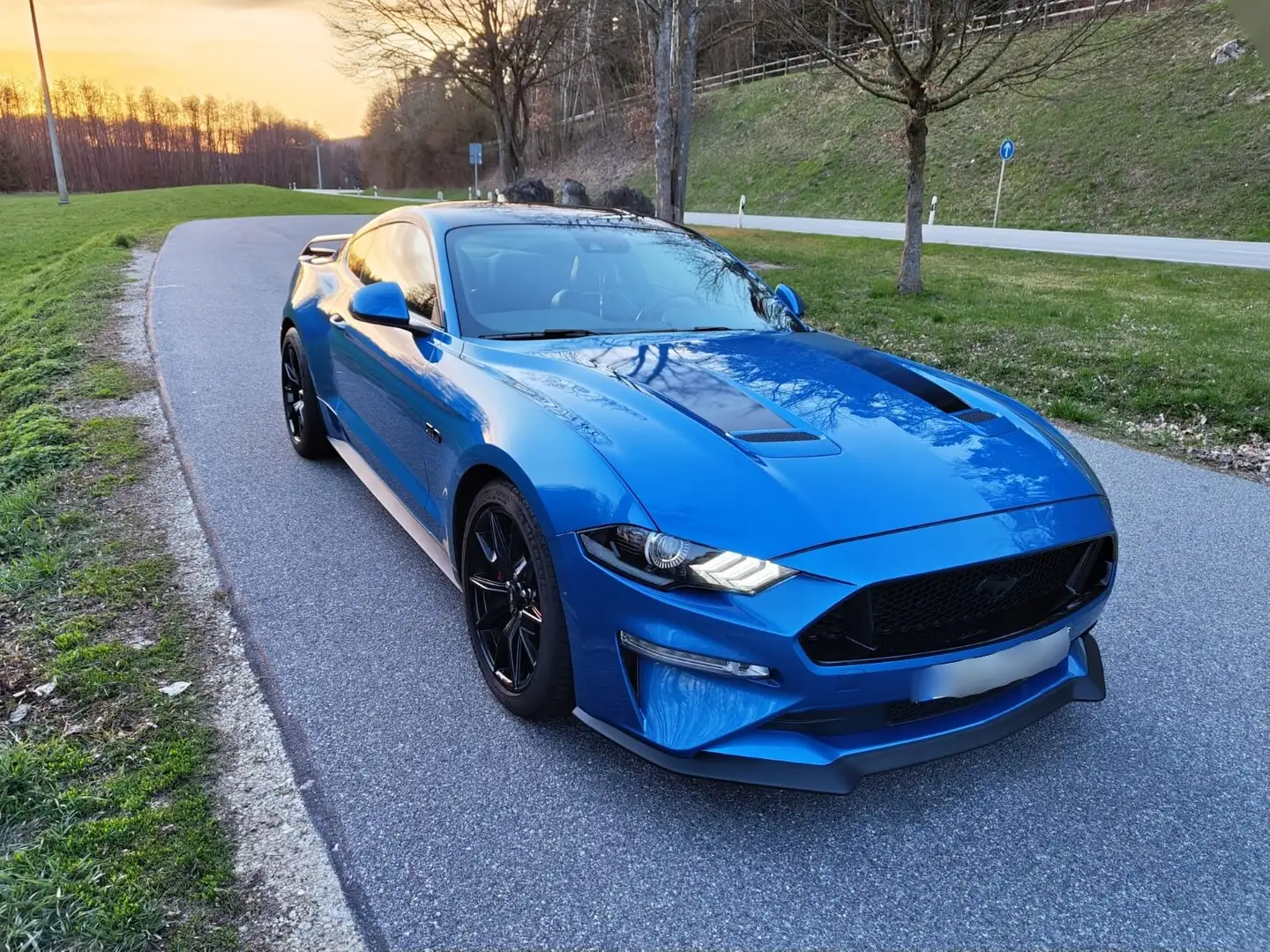 Ford Mustang Mustang 5.0 Ti-VCT V8 Aut. GT "FIFTY FIVE YEARS" Blau - 2