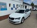 Skoda Superb Combi 2.0 TDI Style 4x4*XENON*LEDER*AHK* Weiß - thumbnail 1