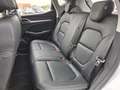 MG ZS MG EV Luxury 45 kWh | Camera | Stoelverwarming | S Wit - thumbnail 11