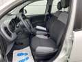 Fiat Panda 1.0 Mild Hybrid  Base Klima DAB Weiß - thumbnail 14