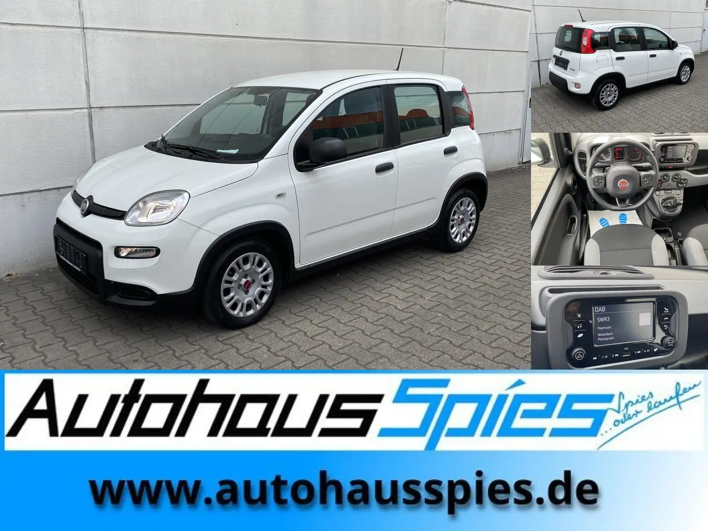 Fiat Panda 1.0 Mild Hybrid  Base Klima DAB Weiß - 1