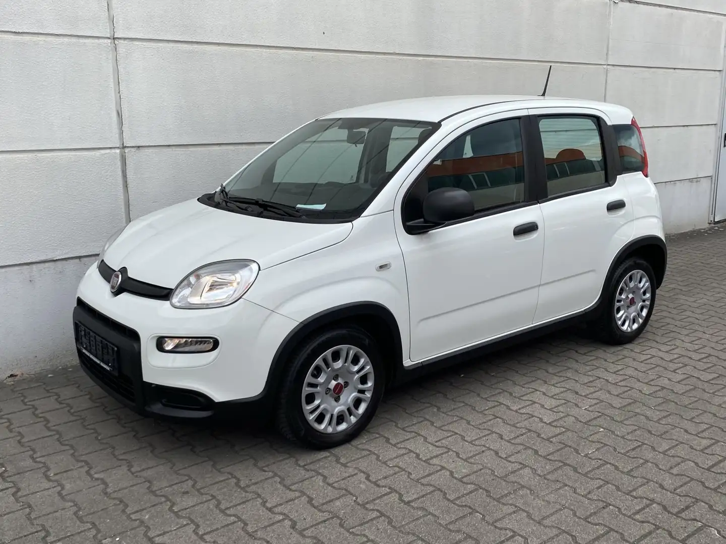 Fiat Panda 1.0 Mild Hybrid  Base Klima DAB Weiß - 2