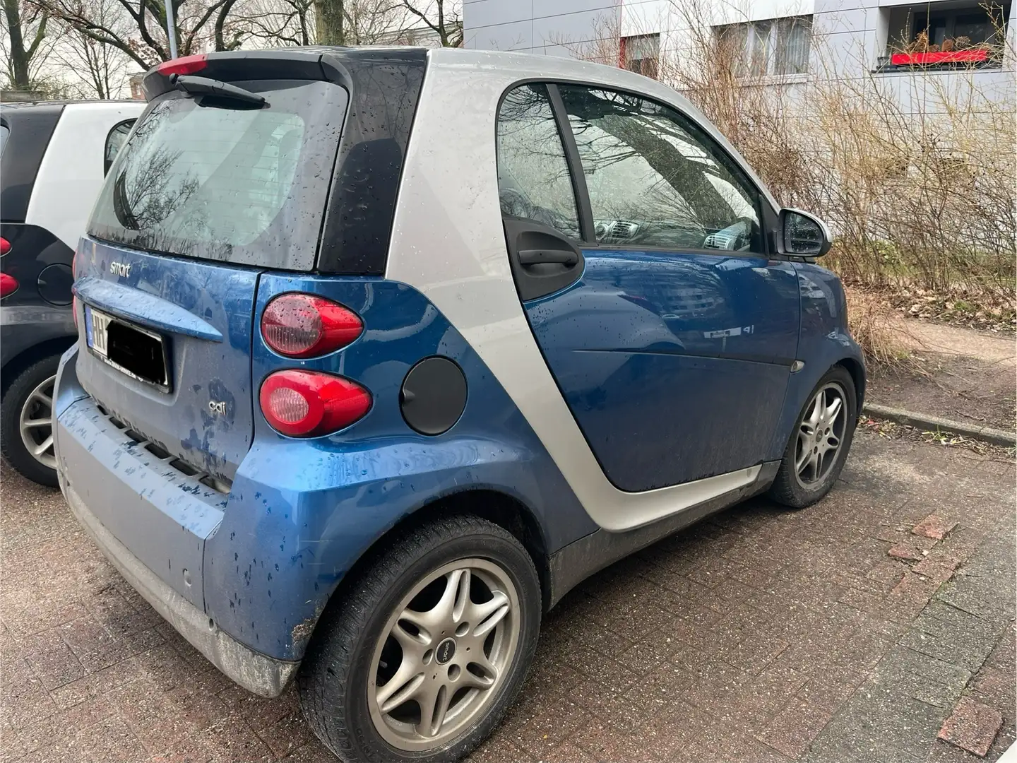 smart forTwo cdi coupe softouch pure dpf Blau - 2