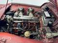 Triumph TR3 TR3A Convertible  - ONLINE AUCTION Rot - thumbnail 26