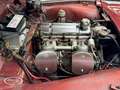 Triumph TR3 TR3A Convertible  - ONLINE AUCTION Rot - thumbnail 25