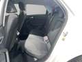 Audi A1 30 TFSI 81(110) kW(PS) S tronic Wit - thumbnail 13