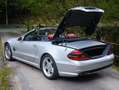 Mercedes-Benz SL 55 AMG SL 55 AMG Aut. AMG Argintiu - thumbnail 6