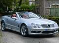 Mercedes-Benz SL 55 AMG SL 55 AMG Aut. AMG Argintiu - thumbnail 9