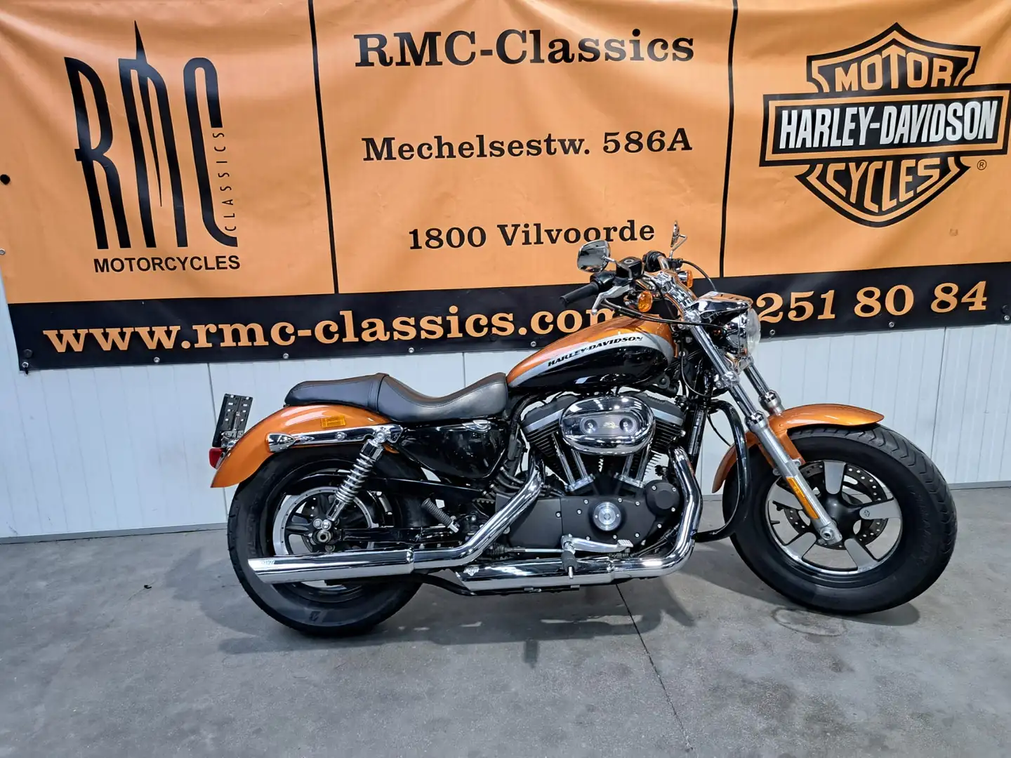 Harley-Davidson Sportster 1200 CUSTOM A Gold - 1