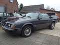 Ford Mustang 5.0 V8 GT Convert.Nwe APK Grijs - thumbnail 5