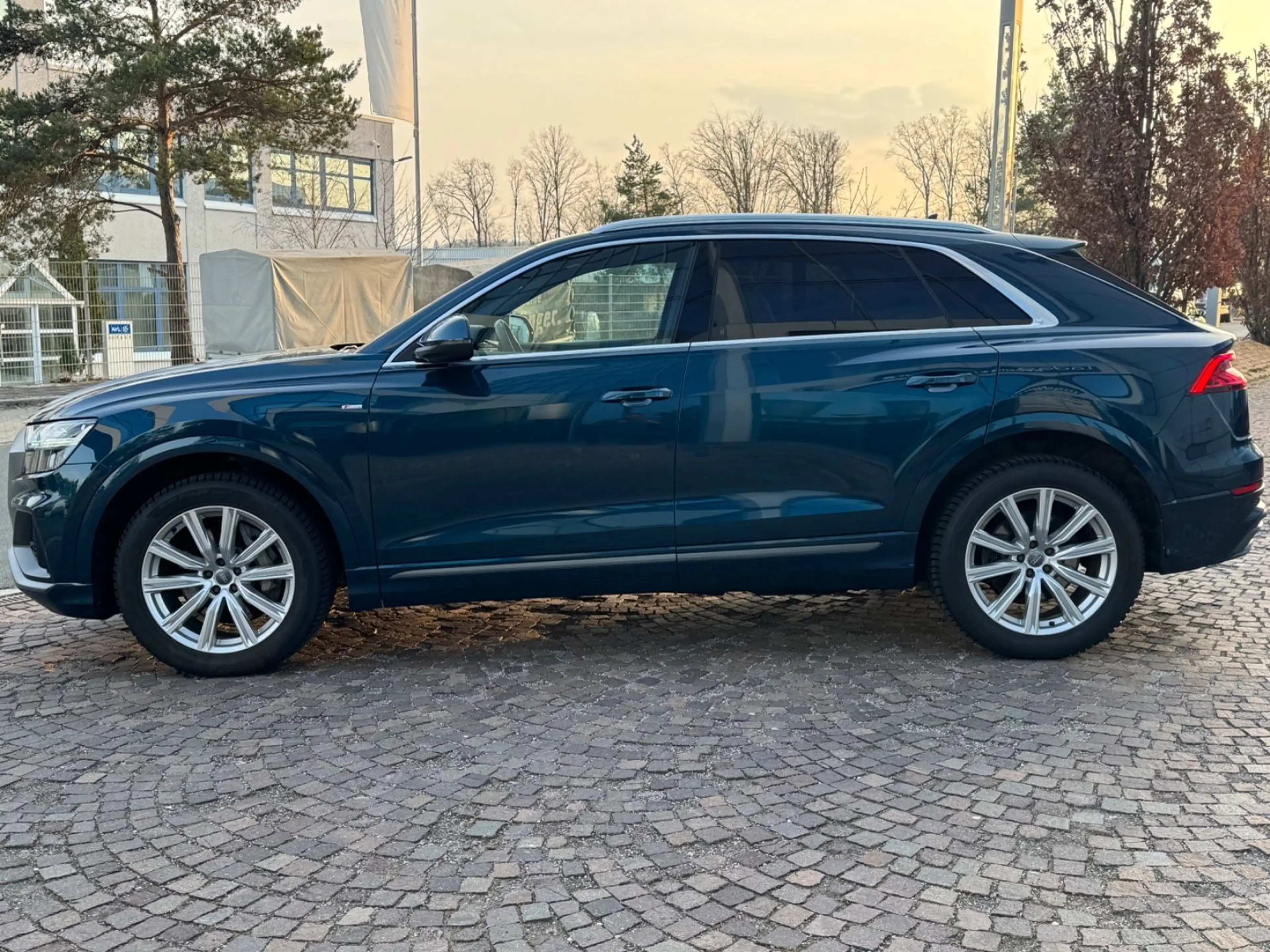 Audi Q8 50 TDI 210 KW quattro 3 S-line Standheizung