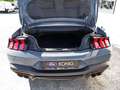 Ford Mustang GT Cabrio V8 Aut.+B&O+Navi+ACC+KeyFree Klima Navi Blau - thumbnail 10