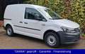 Volkswagen Caddy Kasten 2.0 TDI EcoProfi BMT 1.Hd./Klima/PDC/HU Neu Weiß - thumbnail 3