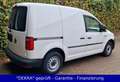 Volkswagen Caddy Kasten 2.0 TDI EcoProfi BMT 1.Hd./Klima/PDC/HU Neu Weiß - thumbnail 8
