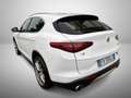 Alfa Romeo Stelvio 2.2 Turbodiesel 190 CV AT8 Q4 Executive Bianco - thumbnail 3