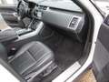 Land Rover Range Rover Sport SDV6 HSE Blanc - thumbnail 17