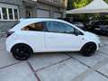 Opel Corsa Corsa IV 2010 3p 1.3 cdti b-Color Bianco - thumbnail 4
