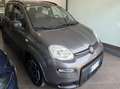 Fiat Panda Panda III 2021 1.0 firefly hybrid City Life s Grigio - thumbnail 5