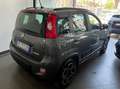 Fiat Panda Panda III 2021 1.0 firefly hybrid City Life s Grigio - thumbnail 8